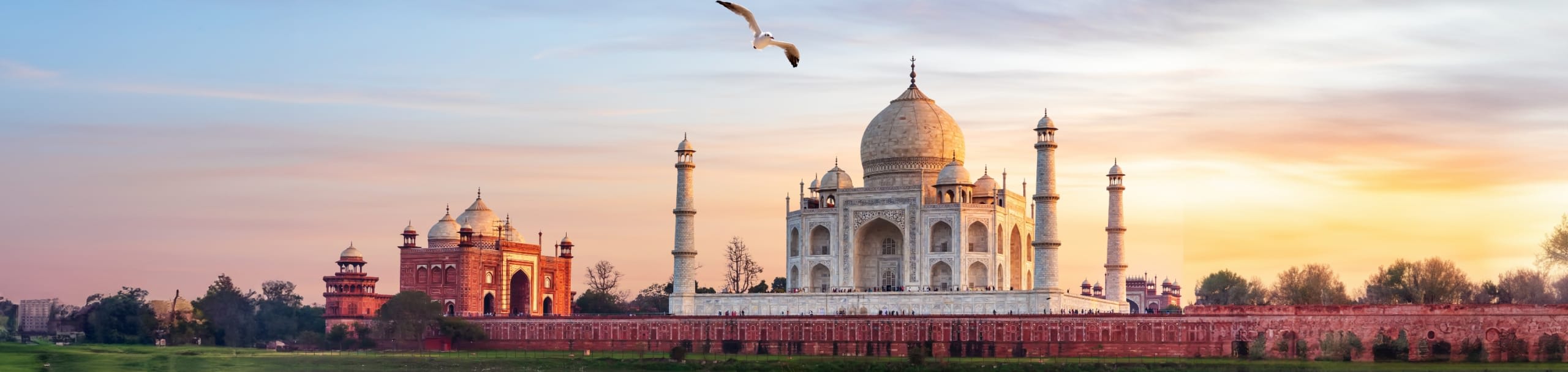 Indian subcontinent